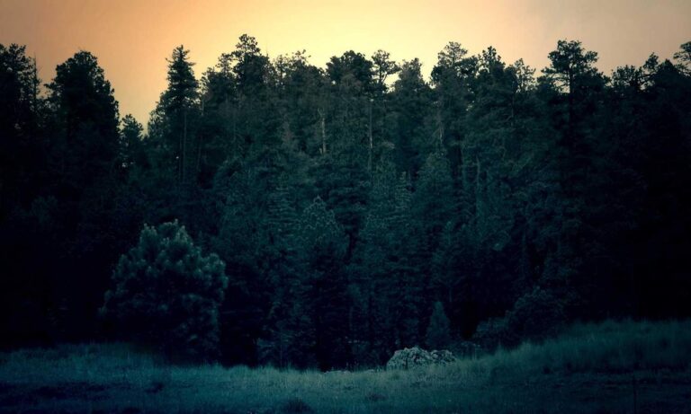 fix bug ralbel28.2.5