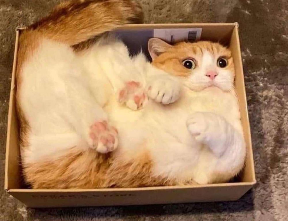 how can zydaisis disease be cured