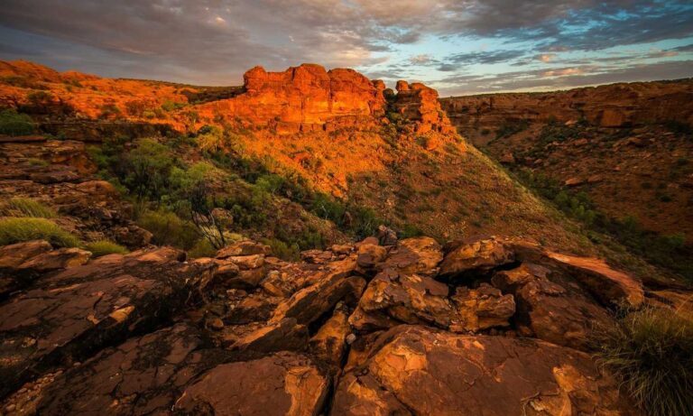 new software 418dsg7