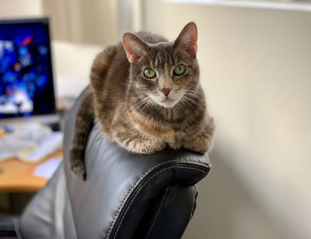 software dowsstrike2045 python