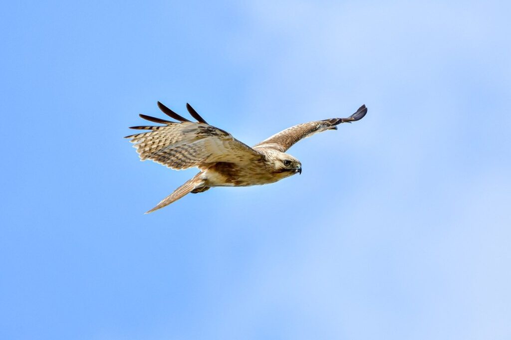 when is ustudiobytes released