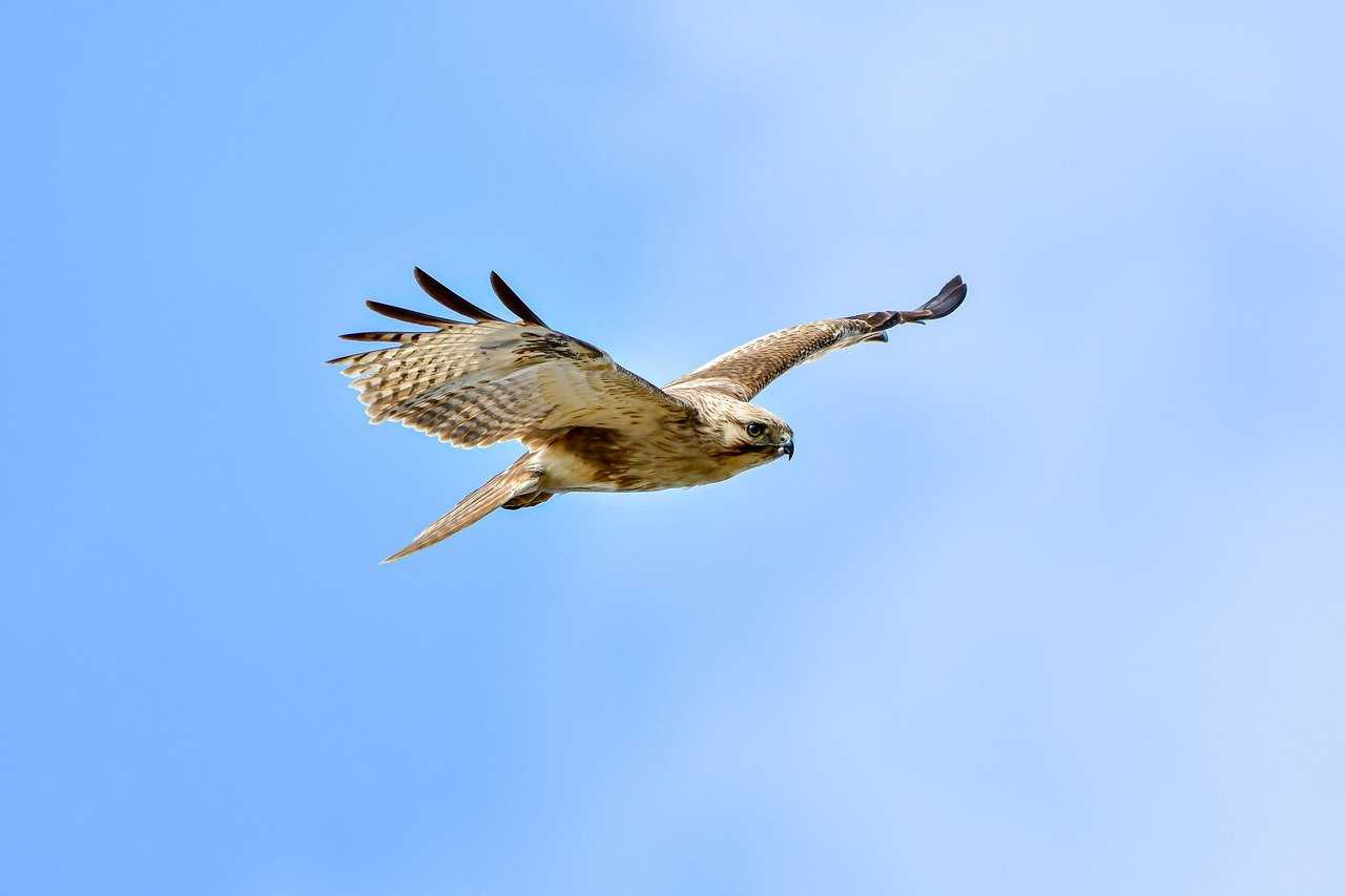 when is ustudiobytes released