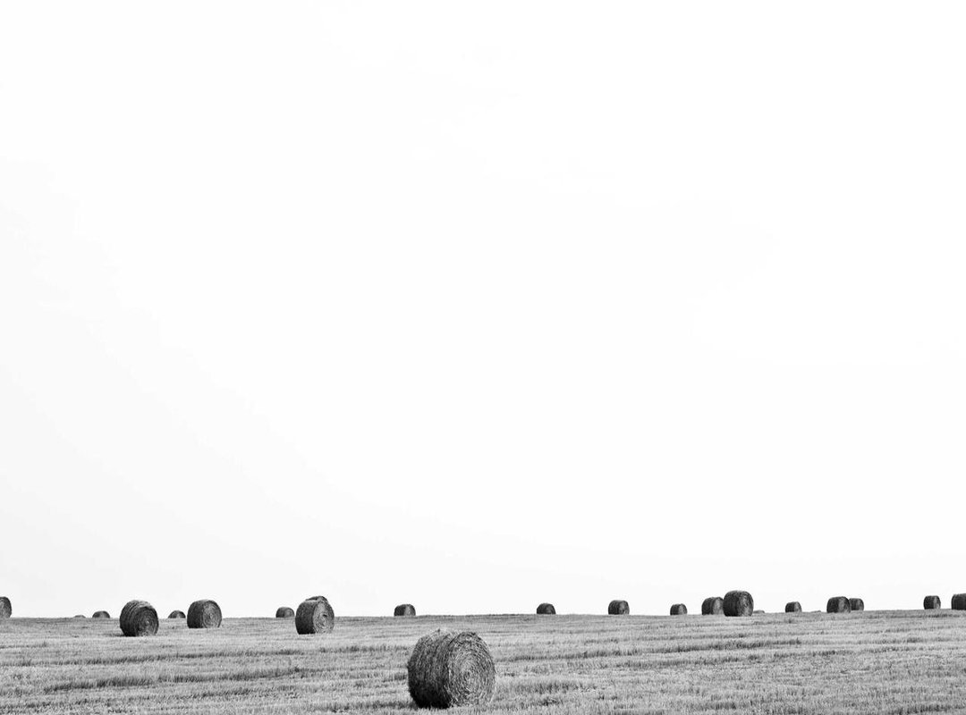 Beyond the Box Score: Advanced Stats That Reveal the True Impact