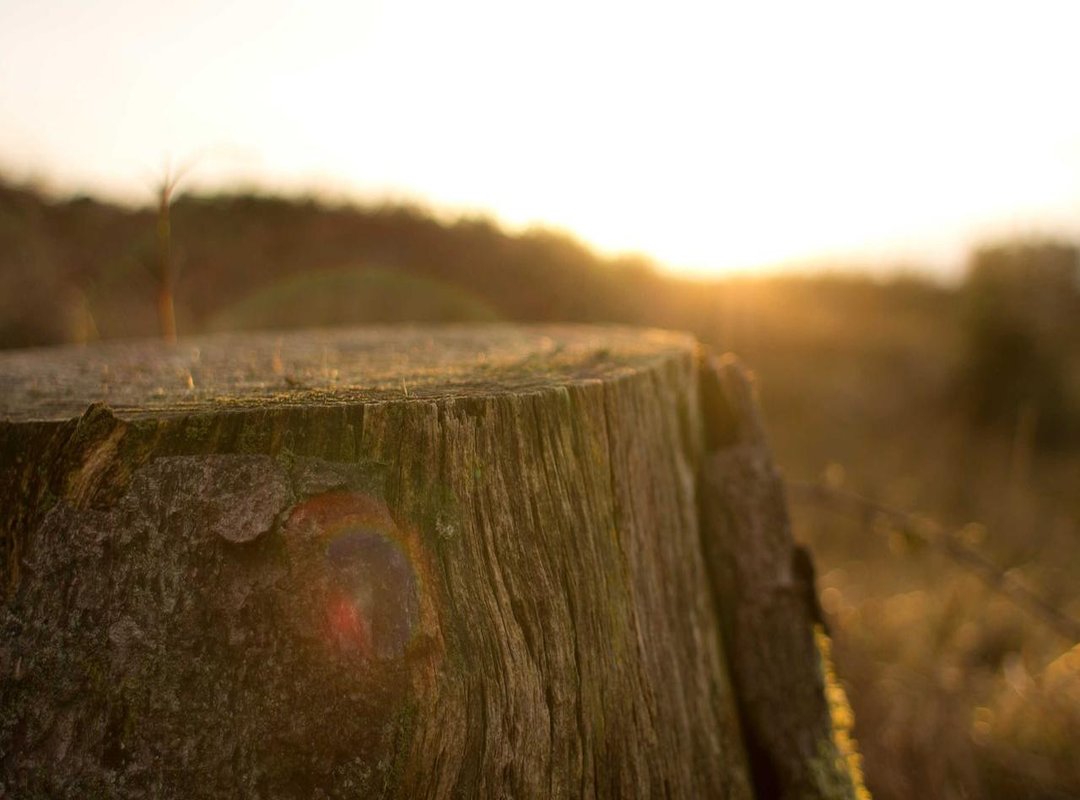 Creating Your First D5 Flat Video: A Step-by-Step Guide