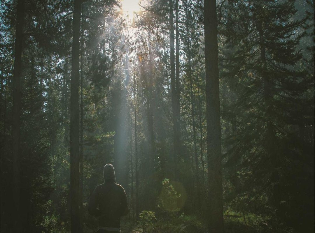 Franchise vs. Corporation: An Important Distinction