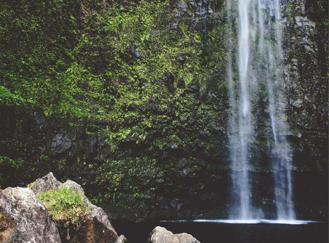 How to Share GIFs: Best Practices and Etiquette