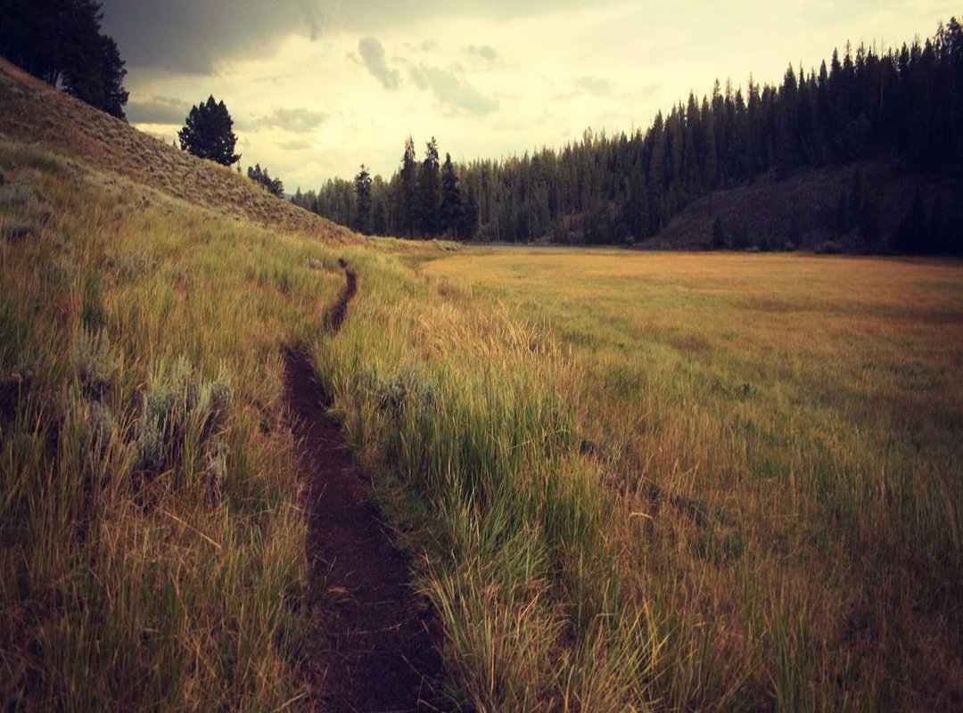 Tips for Ordering: Delivery, Takeaway, and Dine-In