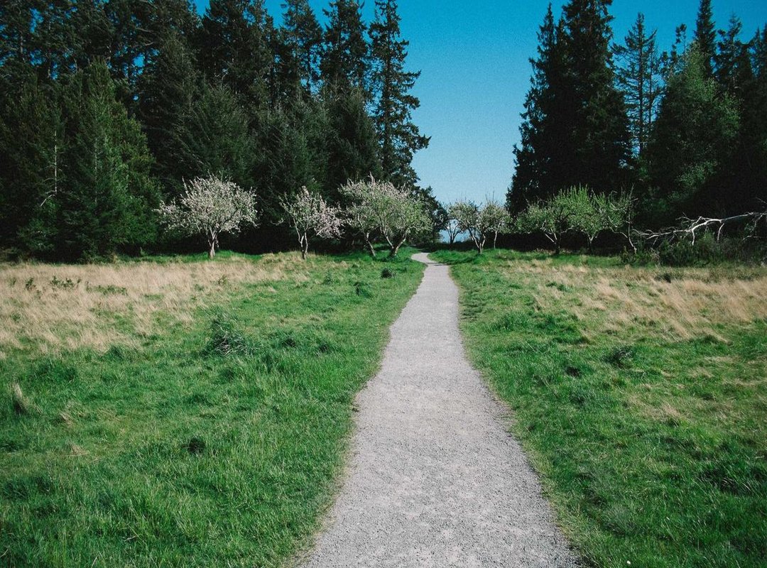 From Heatwave to Typhoon: The Full Evacuation