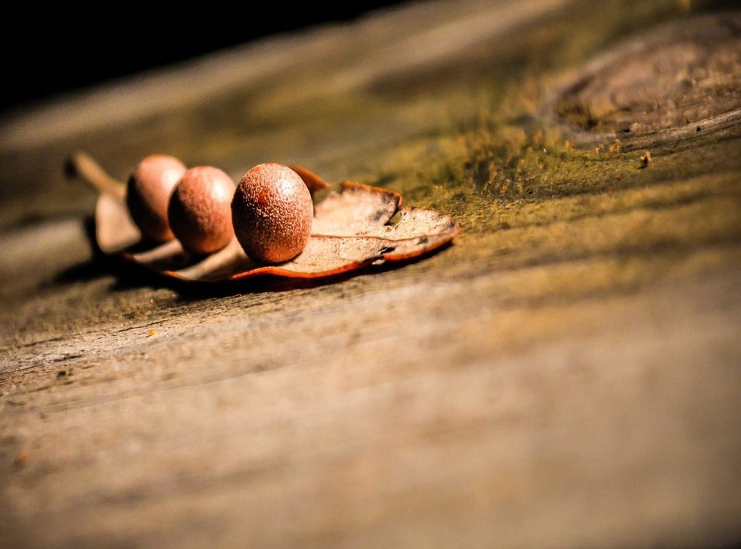 Beyond the Photo: Who Is Matthew Garrison?