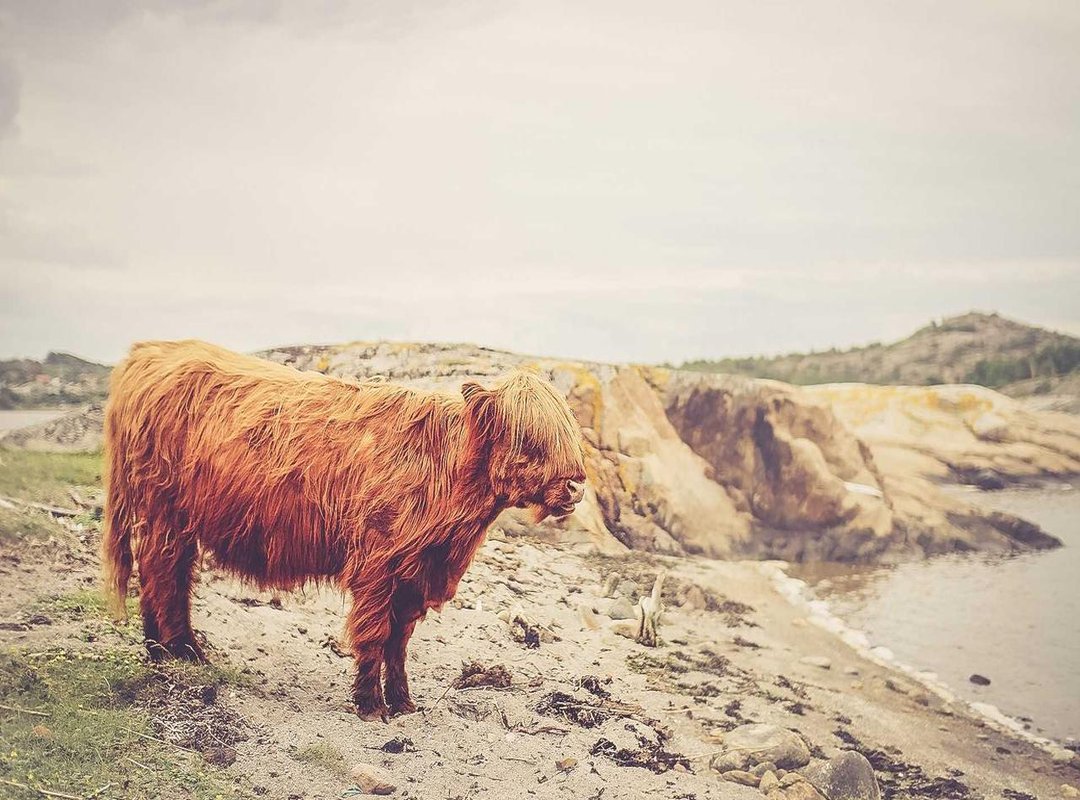 Public Presence: Where to Find Oldje Javier Online