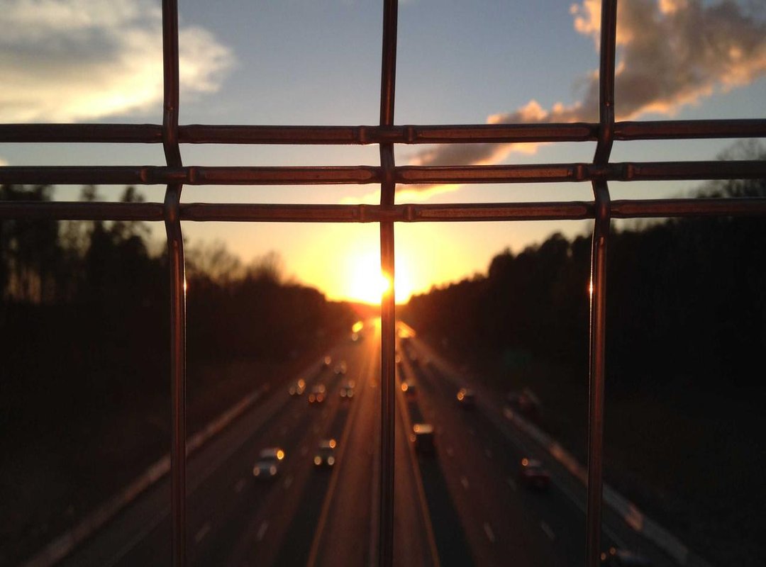 The Modern Meaning: How 'Quiero Agua Payaso' Is Used Today