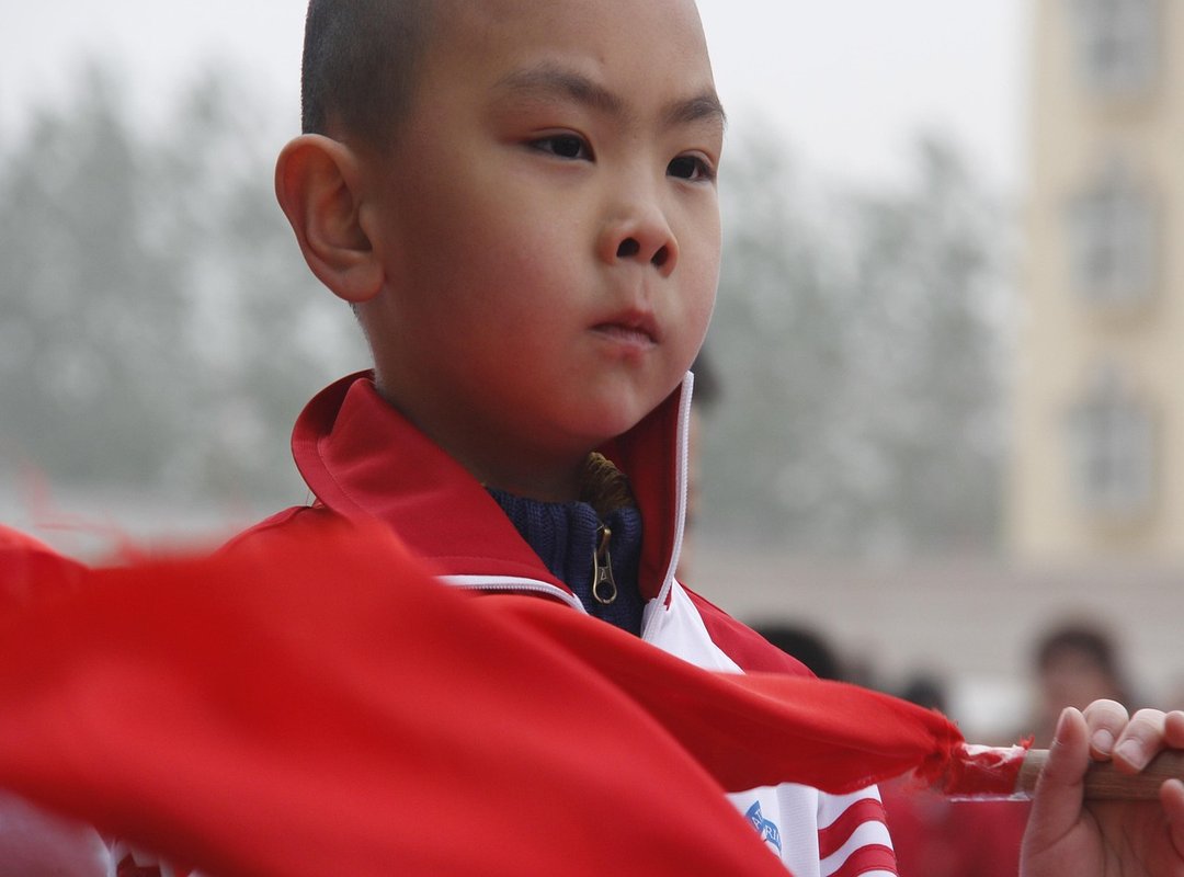 What's Next for Rocco Serafini on Netflix?