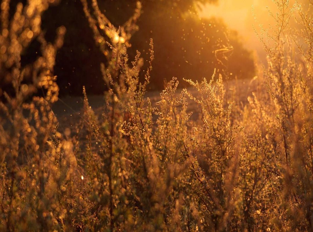 Important Safety Precautions: What to Know Before You Start