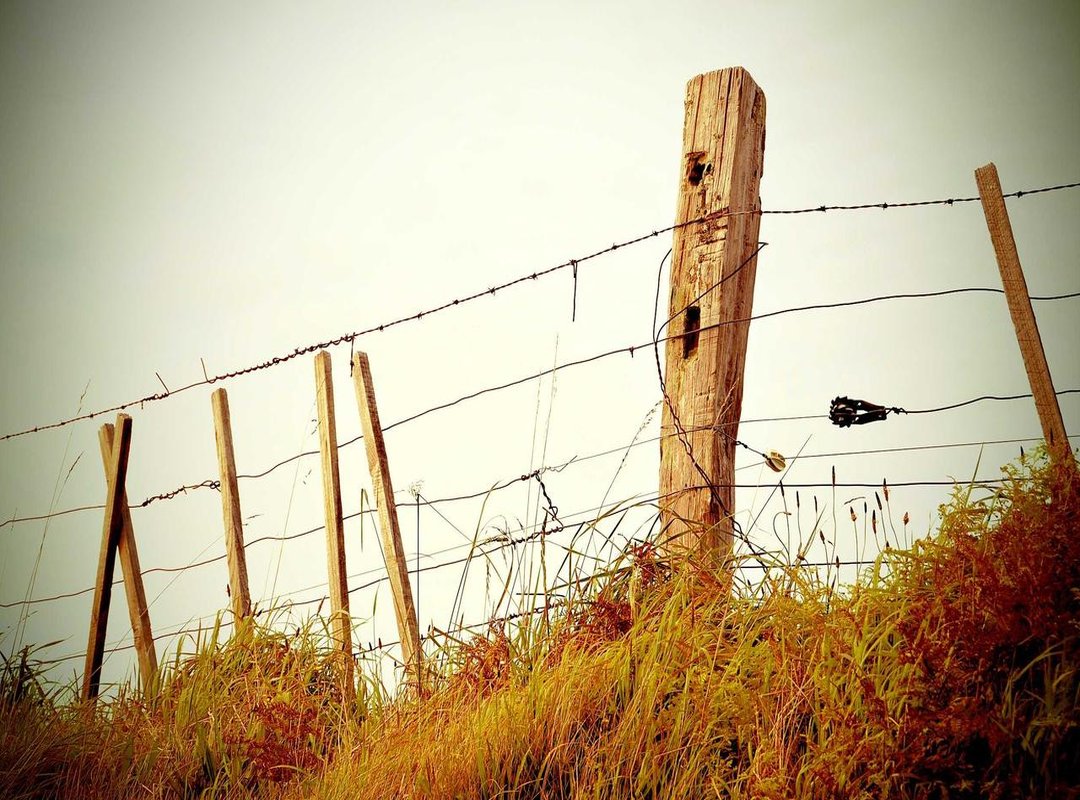 What It All Means: The Impact of Chapter 38 on the Story