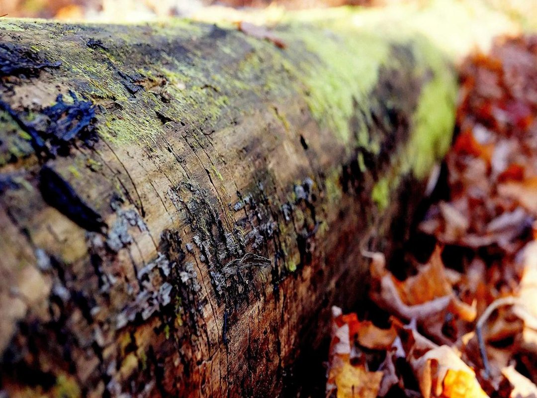 Personal Life: Family and Hobbies