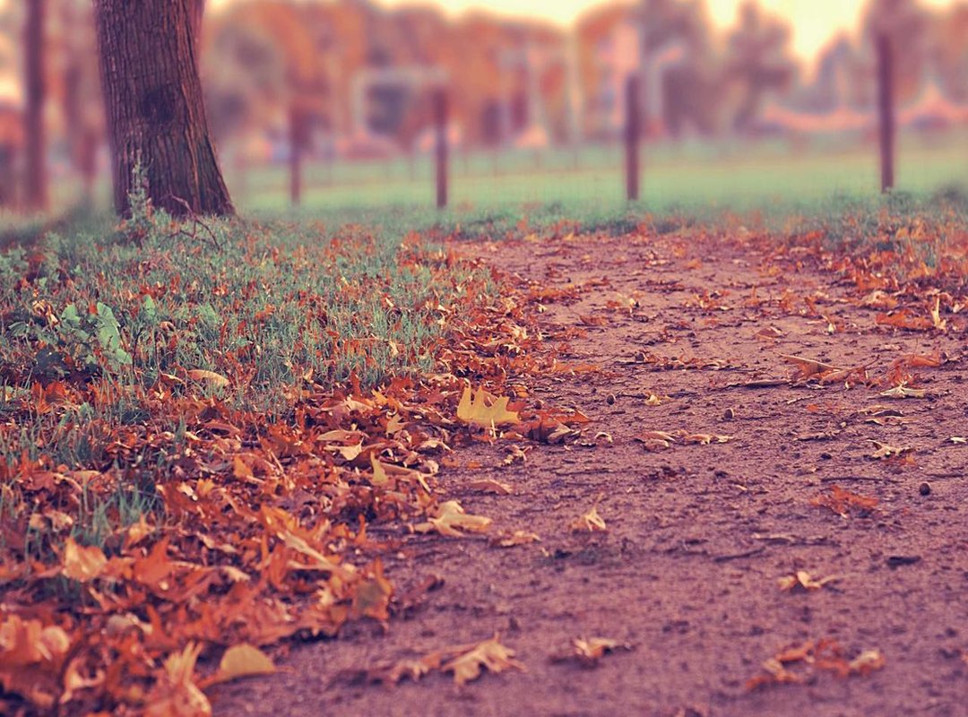 The Psychology Behind the Addiction: Why We Love These Stories