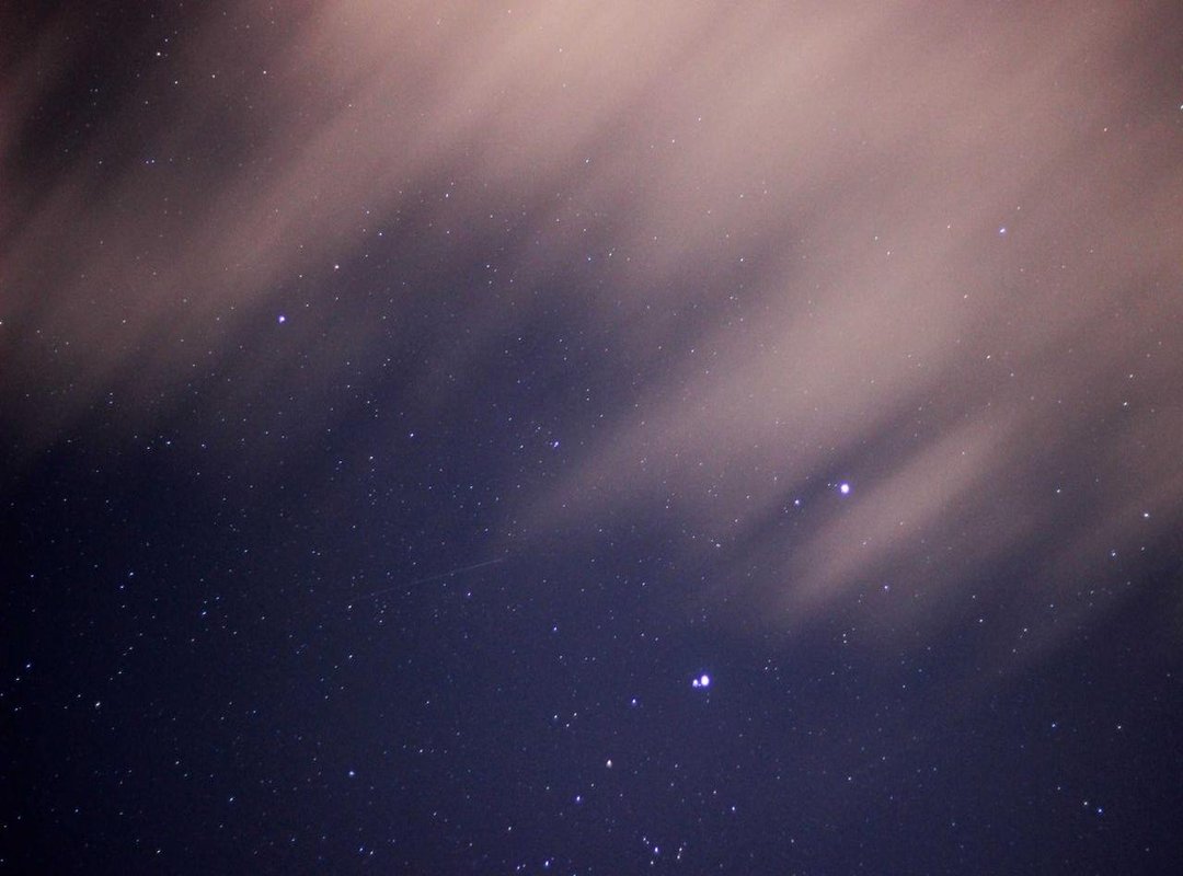 The Origin Story: Where Did the Sitting Fox Come From?